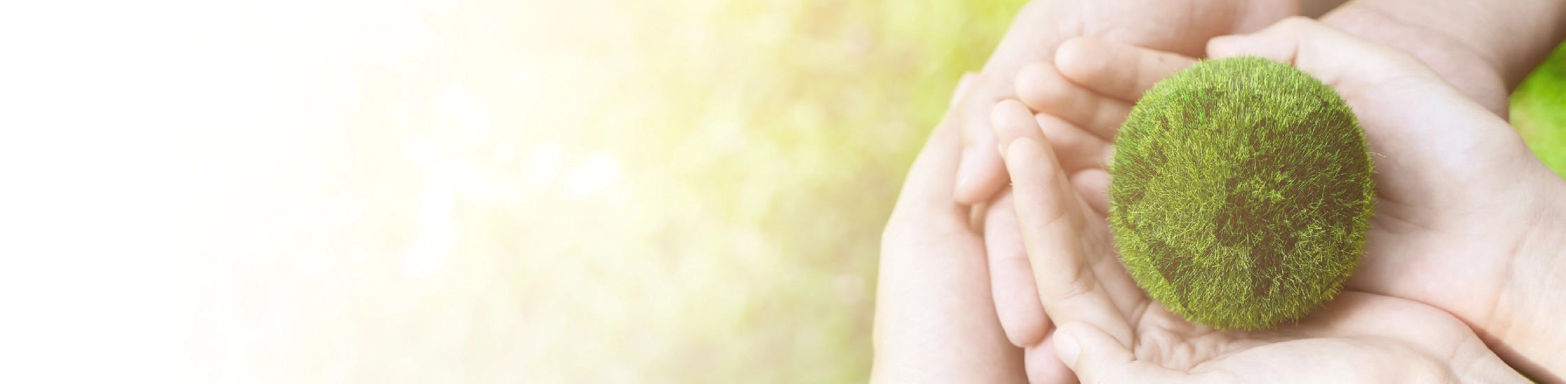 NATURGY_cabeceras_junio