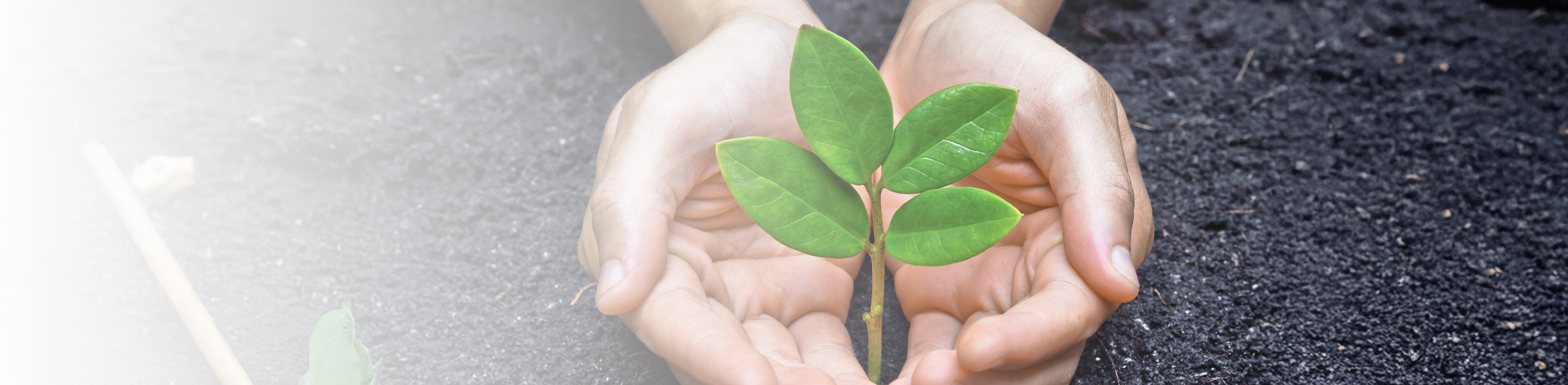 Responsabilidad social